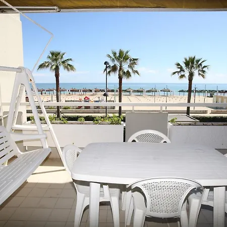Le Palme Montesilvano Marina